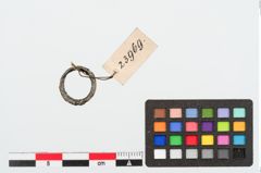 Foto von Bronzering (NHMW-PRAE-023969)